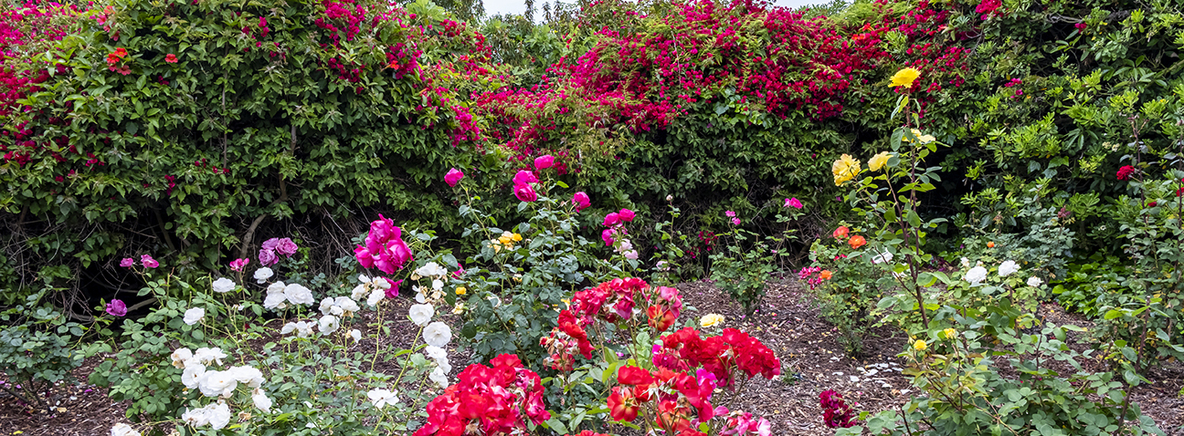 Secret Garden Tour Silent Auction 2026